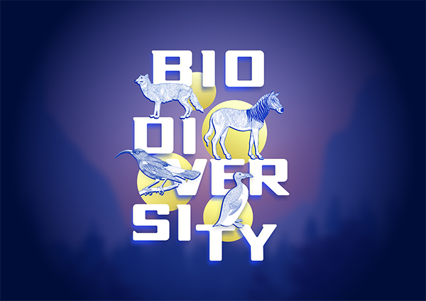 poster for Biodiversity art exhibition showing illustrations of animals