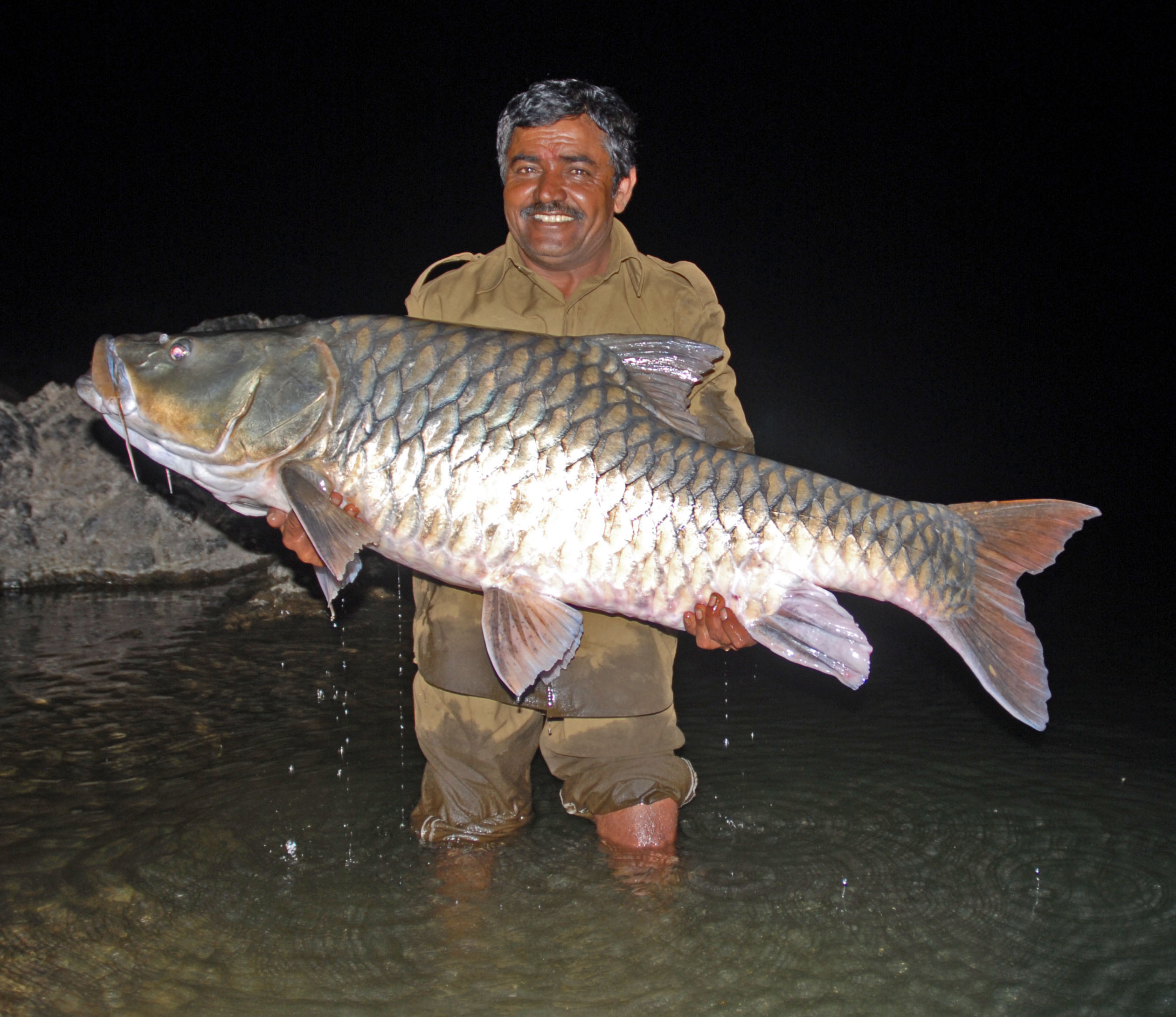 mahseer fish