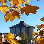 Talbot campus Library seen through the trees