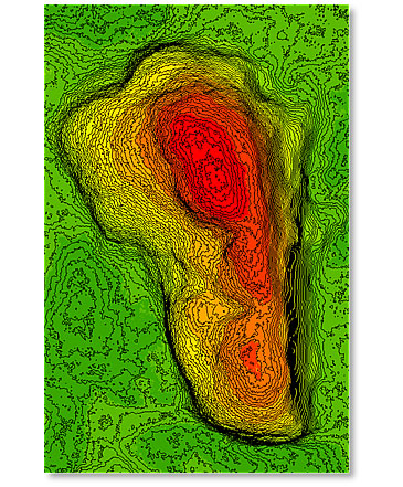 Foot print of Homo erectus (1.5 million years old) discovered near Koobi Fora N. Kenya (World Heritage Site) (short range laser scanner)