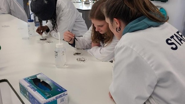 Bournemouth University students in a lab examining specimens during BioBlitz 2025. The students are wearing white labs and using pipettes and shallow circular trays
