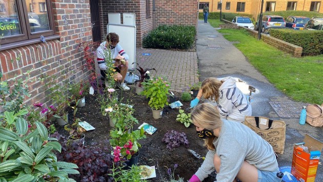 Image of students gardening