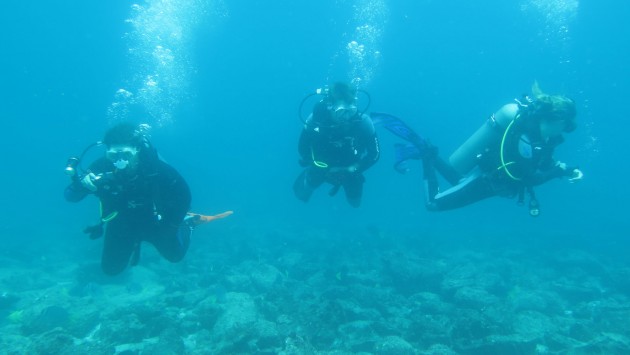 Scuba divers