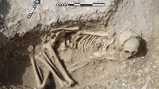 One of the Iron Age skeleton found during Big Dig 