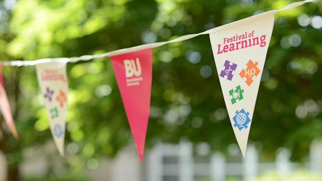 Festival of Learning Bunting