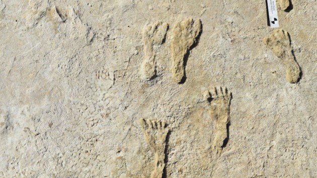 Earliest footprints White Sands 1