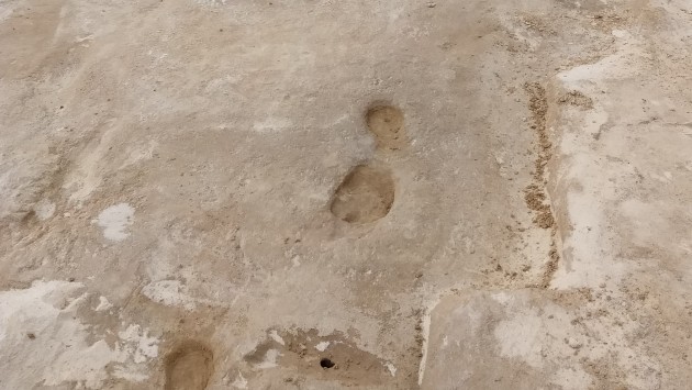 Earliest footprints White Sands 3