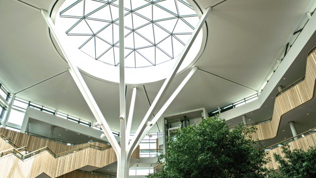 Fusion Building atrium dome