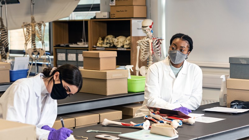 Students working in the Anthropology Lab on Talbot Campus
