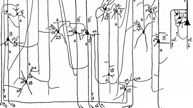 Image description