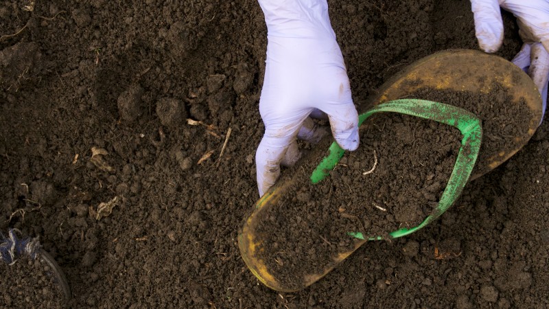 Gloved hands lifting a sandal out of the soil 