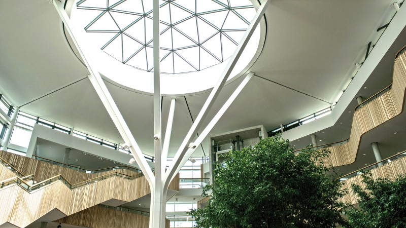 Fusion Building atrium dome