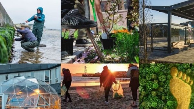 A collage of images reflecting BU's efforts to champion sustainability