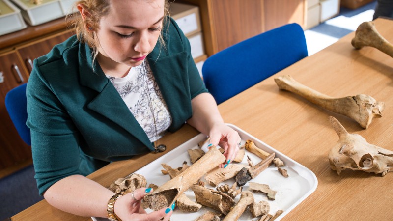 MSc Forensic Archaeology | Bournemouth University