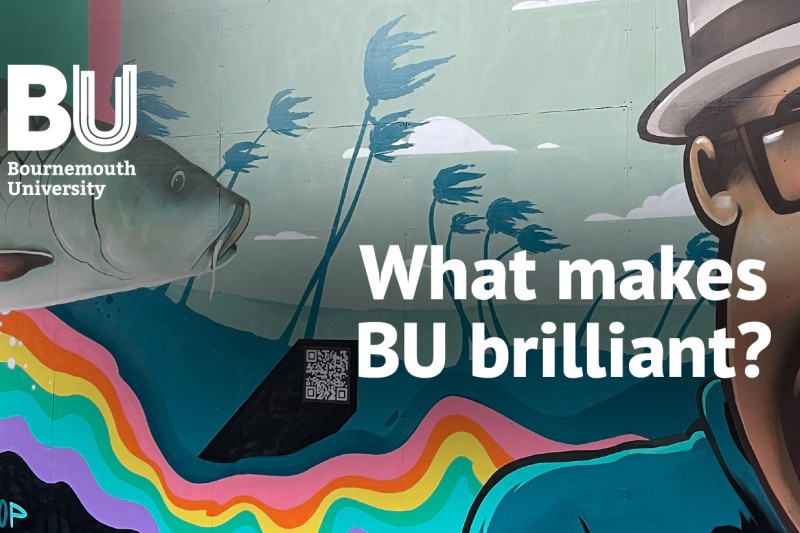 What makes BU brilliant?