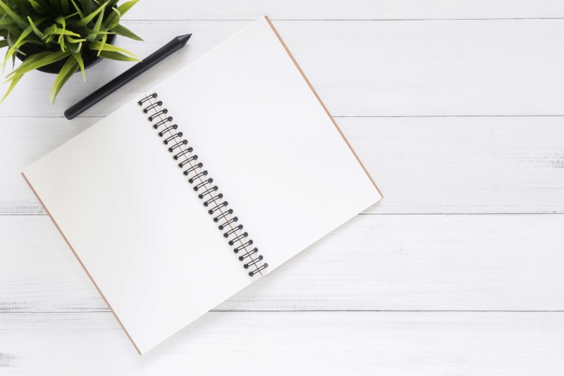 A plant, pen and notepad on a white desk