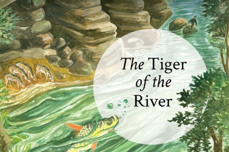 The Tiger of the River book cover and illustration showing a fish swimming up a river