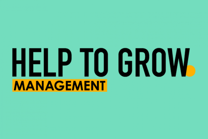 Help to Grow Management course 