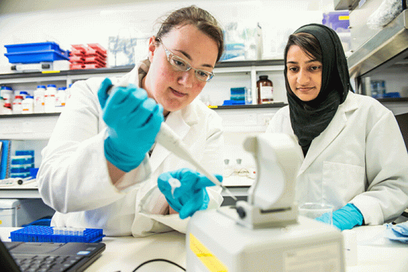 PG research students in laboratory