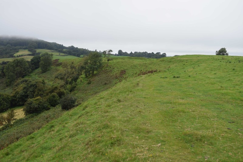 The south side of Waddon Hill 