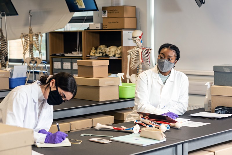 Students working in the Anthropology Lab on Talbot Campus