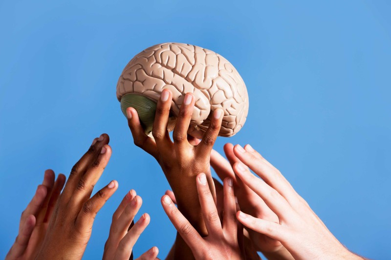 Hands reaching towards a brain 
