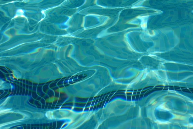 The impact of safe swimming sessions on wellbeing among transgender people