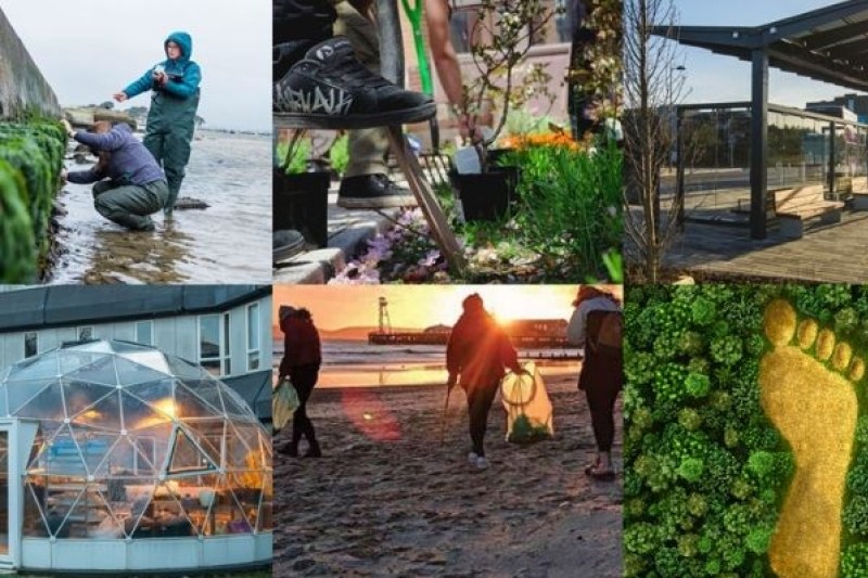 A collage of images reflecting BU's efforts to champion sustainability
