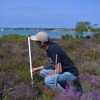 Course Stories - BU students capturing heathland data for the National Trust