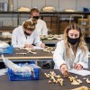 Students working in the Anthropology Lab on Talbot Campus