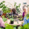 A group of older people sat around a table talking and laughing