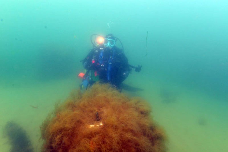 BU diver examines one of the 3D printed reefs A BU diver next to a 3D printed reef