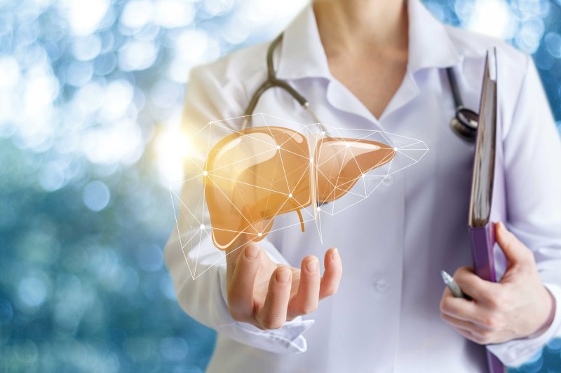 A doctor holding a virtual liver A doctor holding a virtual liver