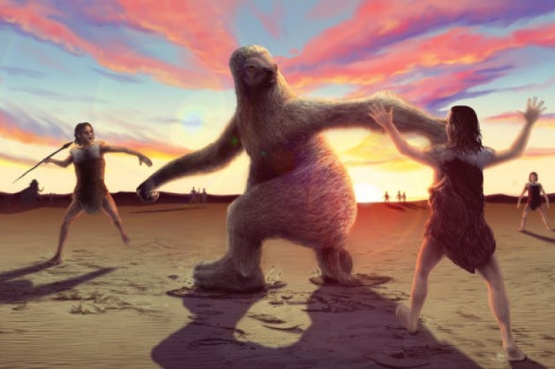 How to hunt a giant sloth How to hunt a giant sloth