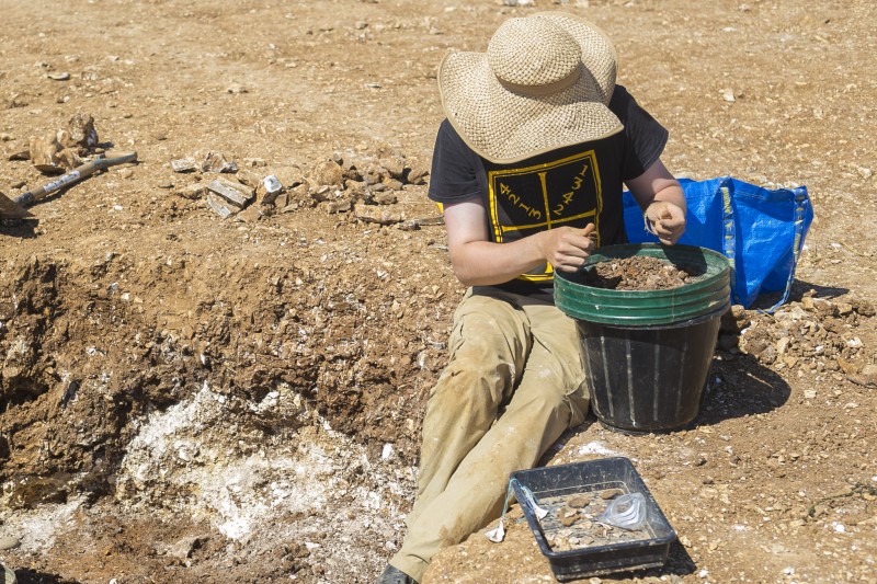 Each year our international team of academics, students, volunteers and support staff combine to discover incredible archaeological finds that help to reveal the history of southern Britain, solving many unanswered questions