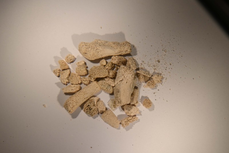 A pile of small bone fragments 