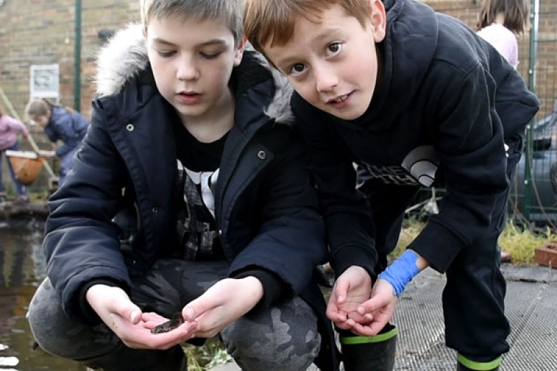 Two pupils from St. Luke's holding a newt Two pupils from St. Luke's holding a newt