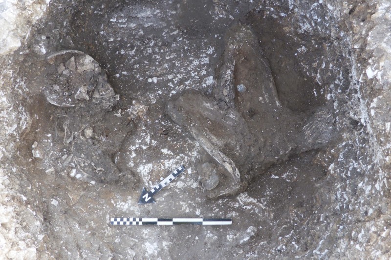 Very old human skeleton in a crouched position, lying in a shallow round pit
