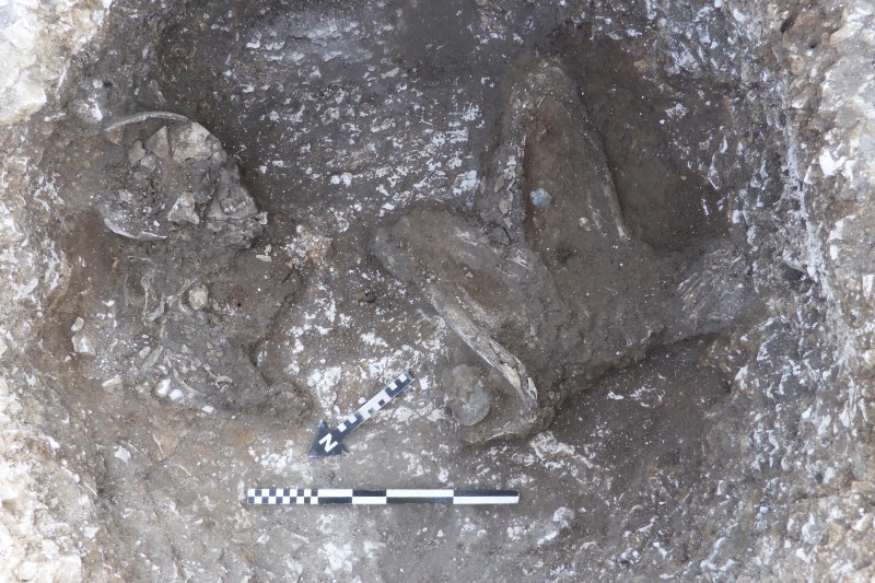 Bronze Age Skeleton Very old human skeleton in a crouched position, lying in a shallow round pit