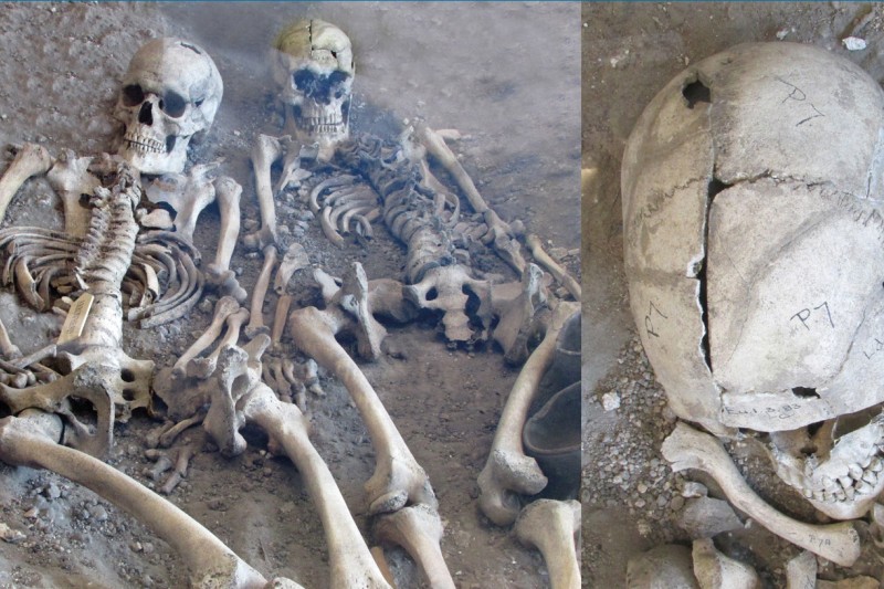 Images of skeletons from the burials displaying bladed injuries to bones Images of skeletons from the burials displaying bladed injuries to bones