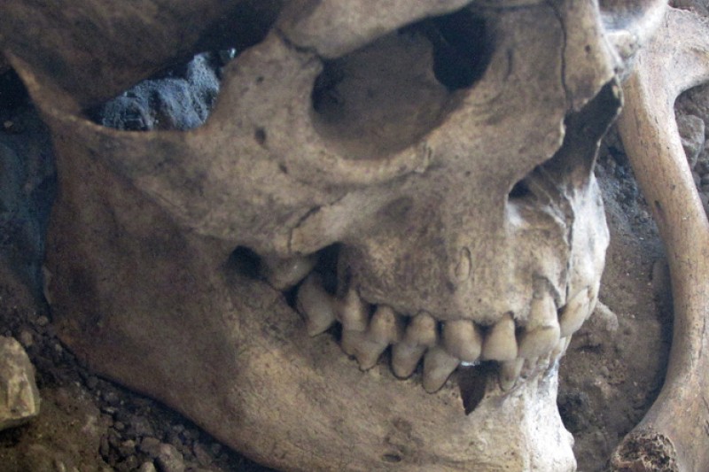 One of the skeletons from the burial site One of the skeletons from the burial site