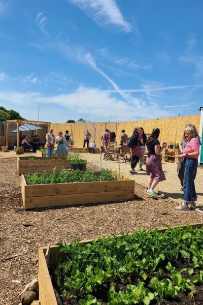Vegetable beds in the new SUBU Community Garden