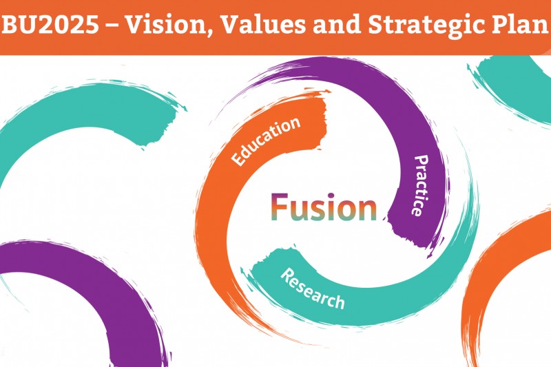 Fusion cycle of education, practice and research creating Fusion