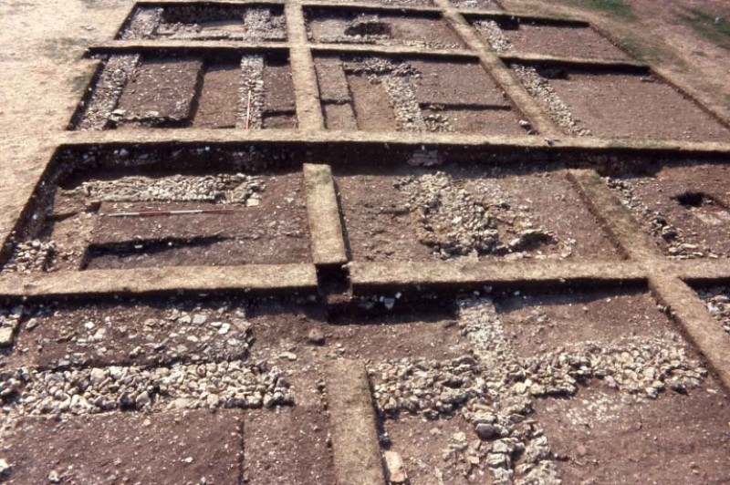 The box grid excavation system at Dewlish Roman villa, 1976.