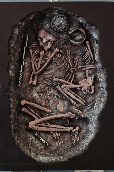 A 3D printed model showing an ancient skeleton lying on its side in a crouched, foetal position