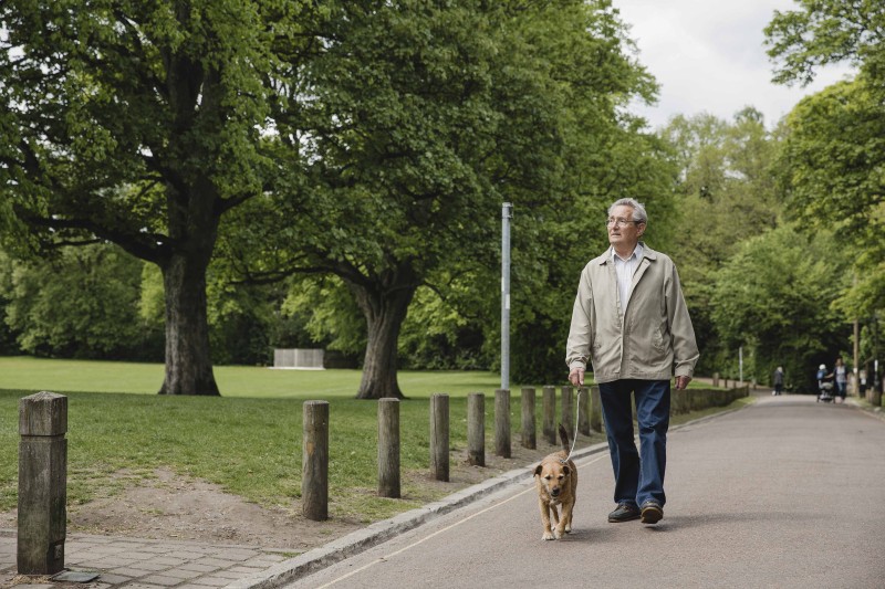 Senior man is walking his terrier dog along a path in a public park, enjoying the scenic views of nature.
