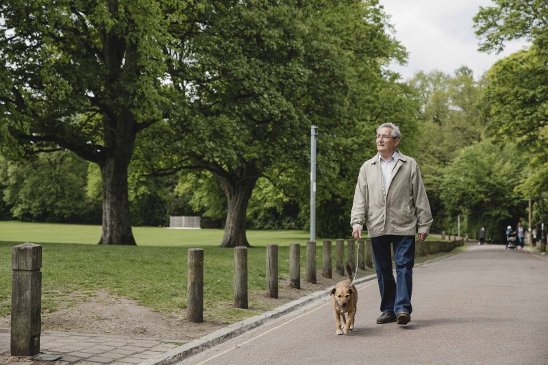 Walking Senior man is walking his terrier dog along a path in a public park, enjoying the scenic views of nature.
