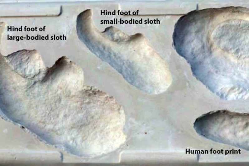 Footprint comparison