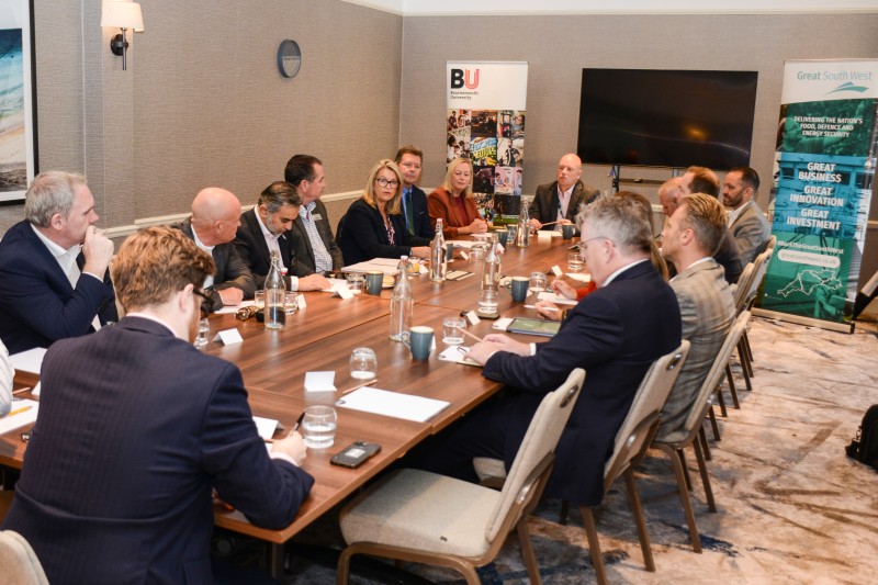 Professor Honour speaking at a roundtable event