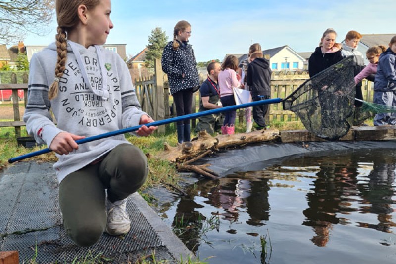 A pupil from St. Luke's Church of England Primary School holds a fishing net over the school pond